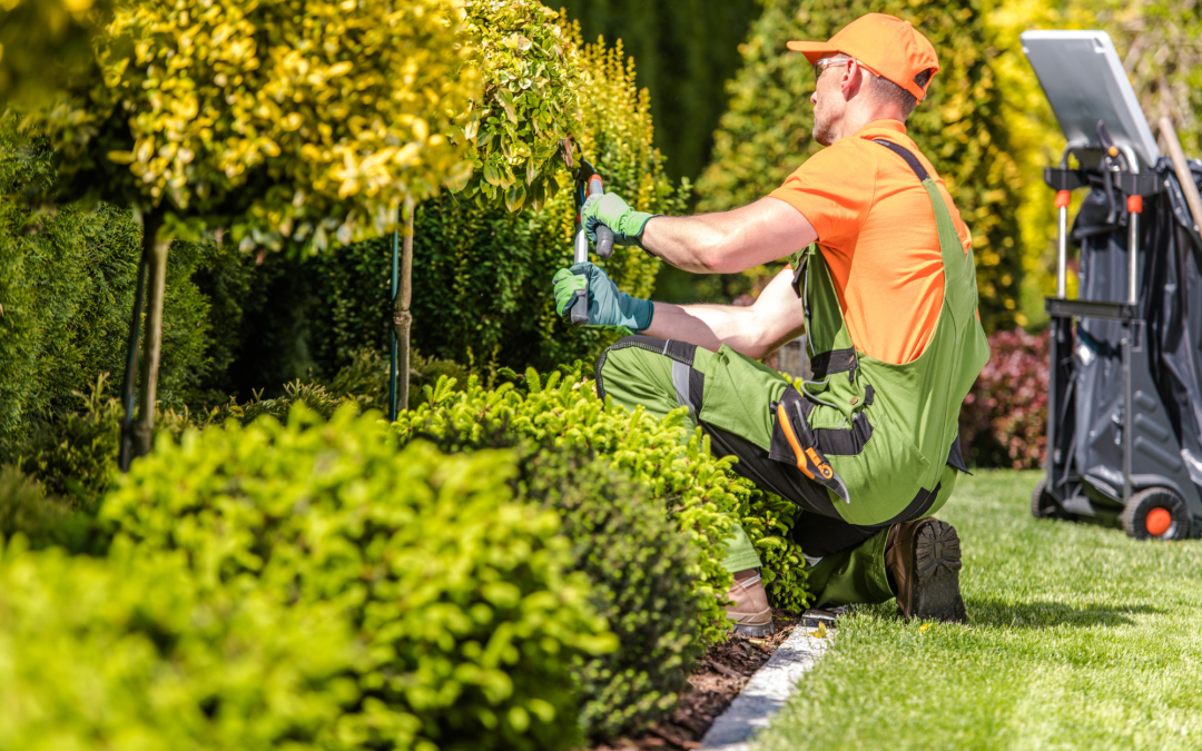 Low-Maintenance Landscaping Ideas for Busy Gardeners