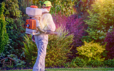 Organic Pest Control: Natural Ways to Keep Your Garden Healthy