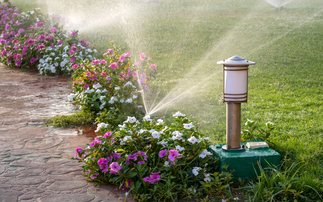 Water-Wise Gardening: How to Create a Drought-Resistant Garden